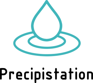 Precipistation Logo - Light Transparent